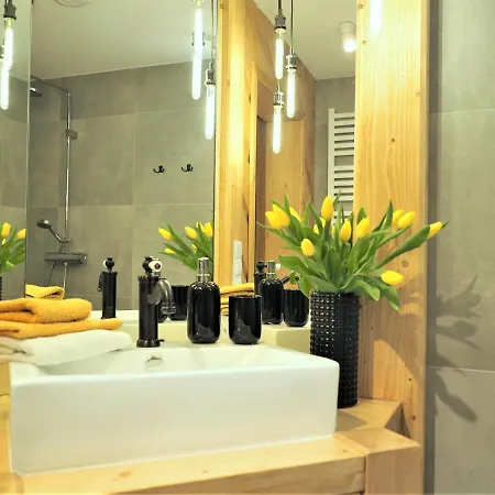 Apartamento VIP Apartamenty GIEWONT KRUPÓWKI II Zakopane